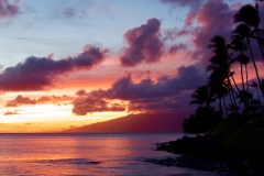 Palms and Molokai