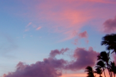 Palms and red clouds